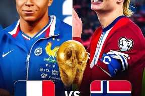 关于哈兰德关键节点惊险取胜，法国队带队取胜！的信息